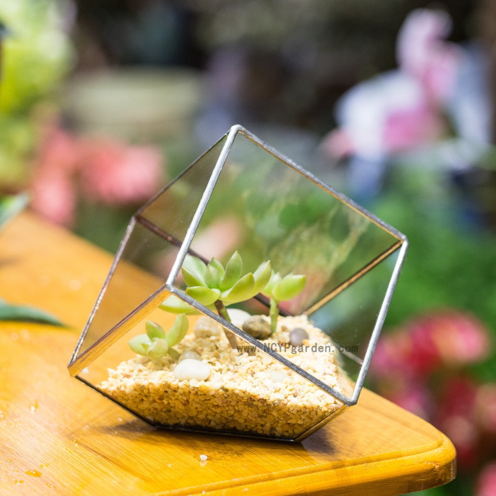 Handmade 3.93" / 10cm Silver Square Inclined Open Cube Glass Geometric Terrarium Box for Succulents - NCYPgarden