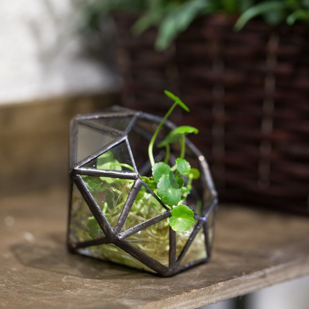 Handmade Mini Eight-surfaces Diamond Glass Geometric Terrarium forFern Moss Ring Box - NCYPgarden