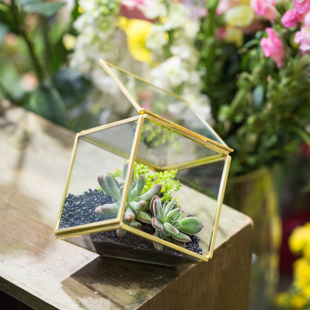 Handmade 3.9" Copper Square Inclined Cube Glass Geometric Terrarium Box with Door for Succulents - NCYPgarden