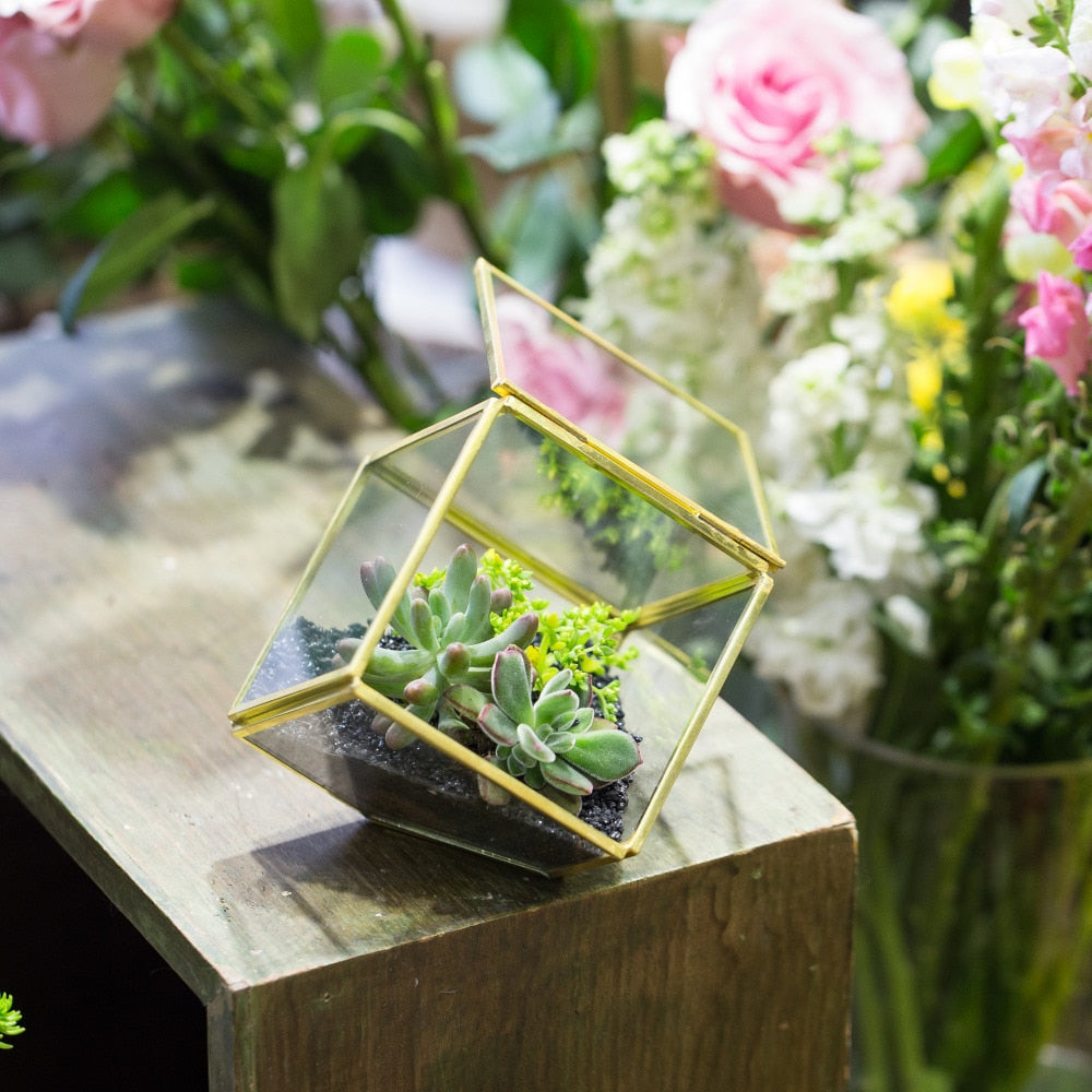 Handmade 3.9" Copper Square Inclined Cube Glass Geometric Terrarium Box with Door for Succulents - NCYPgarden