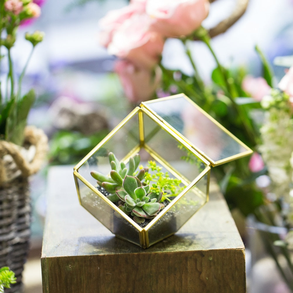 Handmade 3.9" Copper Square Inclined Cube Glass Geometric Terrarium Box with Door for Succulents - NCYPgarden