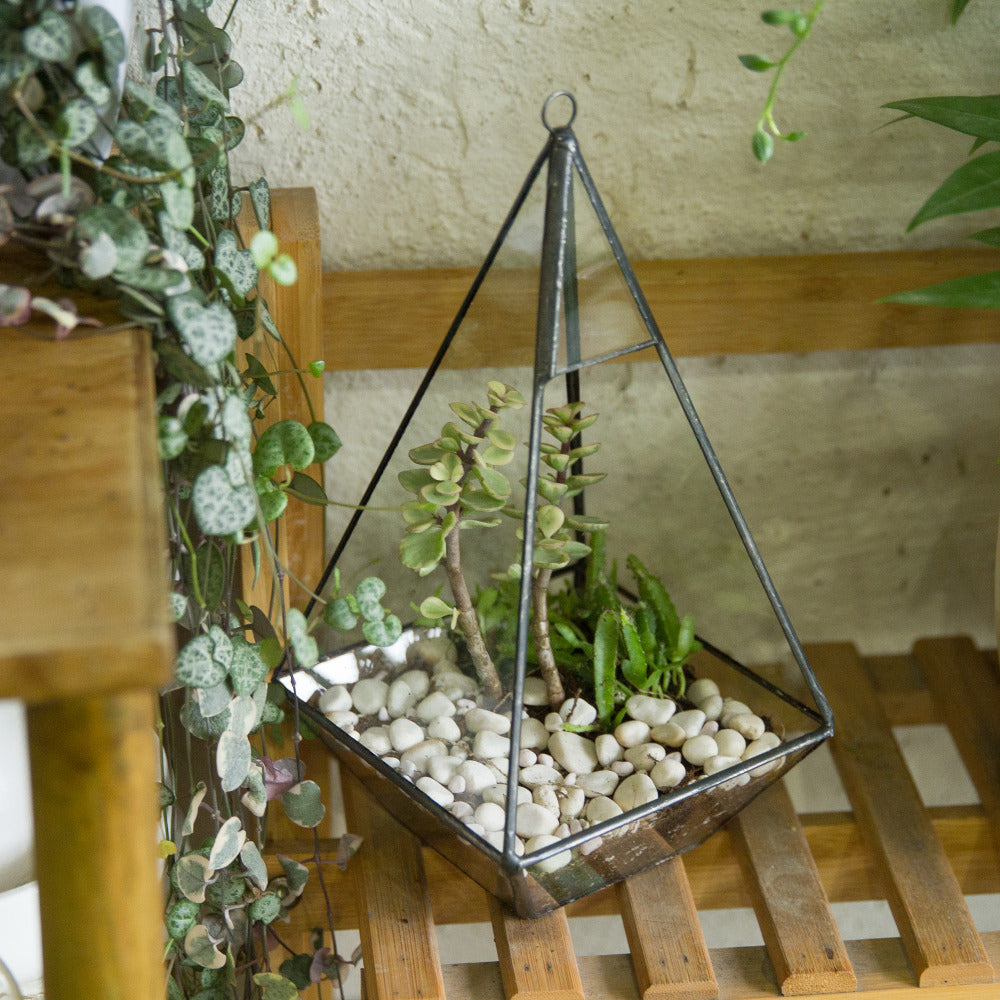 Handmade Glass Geometric Terrarium Indoor Outdoor Planter Landscape Wall Pyramid for Succulents - NCYPgarden