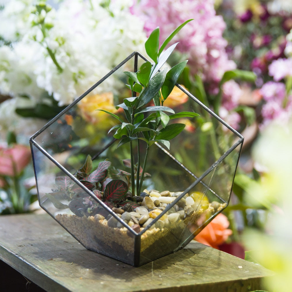 Handmade Inclined Cube Glass Geometric Terrarium Box Various Size Door Available for Succulent Moss - NCYPgarden