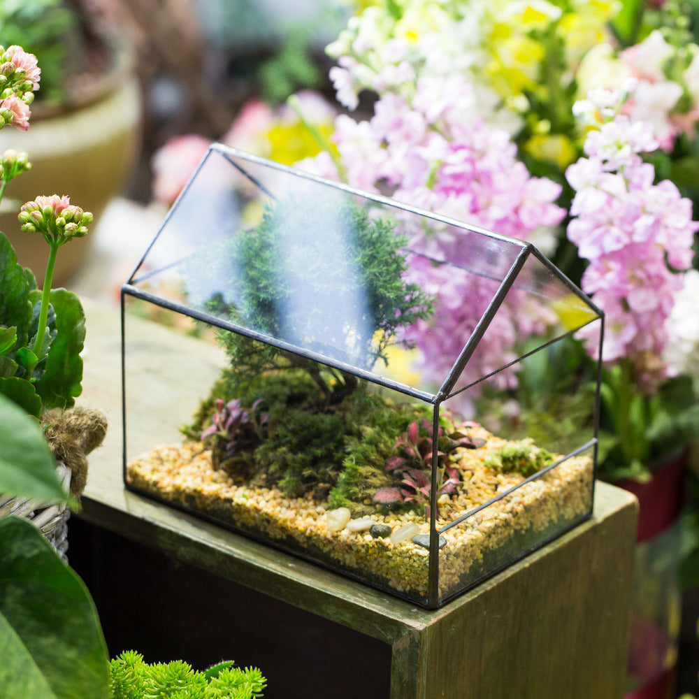 Handmade House Shape Open on the Side Glass Geometric Terrarium for Fern Moss Succulents Airplants - NCYPgarden