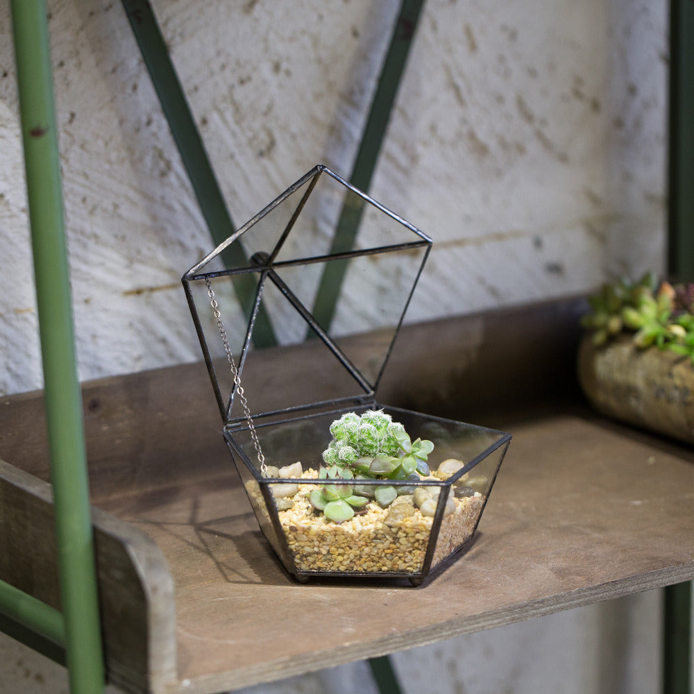 Handmade Small Modern Clear Jewelry BoxGlass Geometric Terrarium for Wedding Planters Succulents - NCYPgarden
