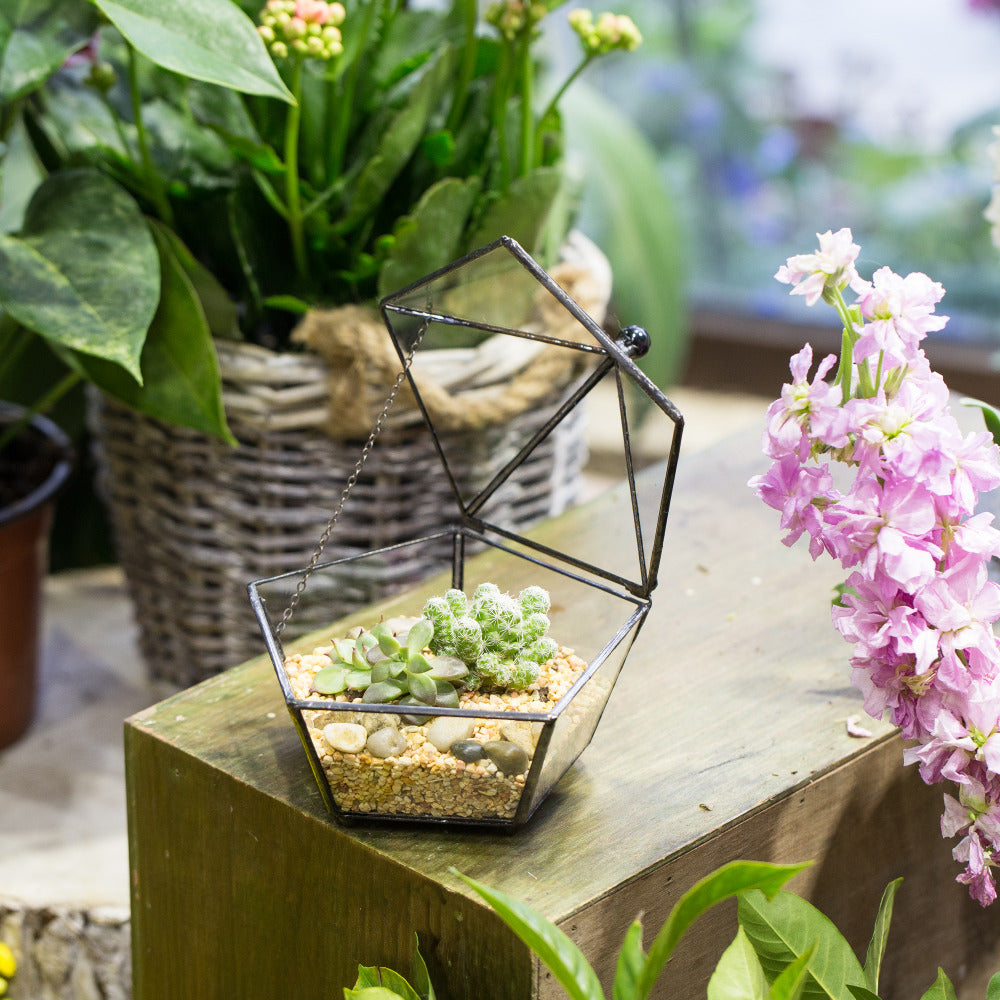 Handmade Small Modern Clear Jewelry BoxGlass Geometric Terrarium for Wedding Planters Succulents - NCYPgarden