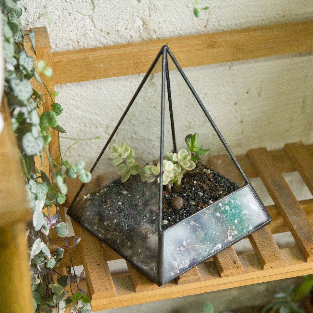 Handmade Pyramid Geometric Glass Terrarium for Succulent Fern Moss Airplants Cacti - NCYPgarden