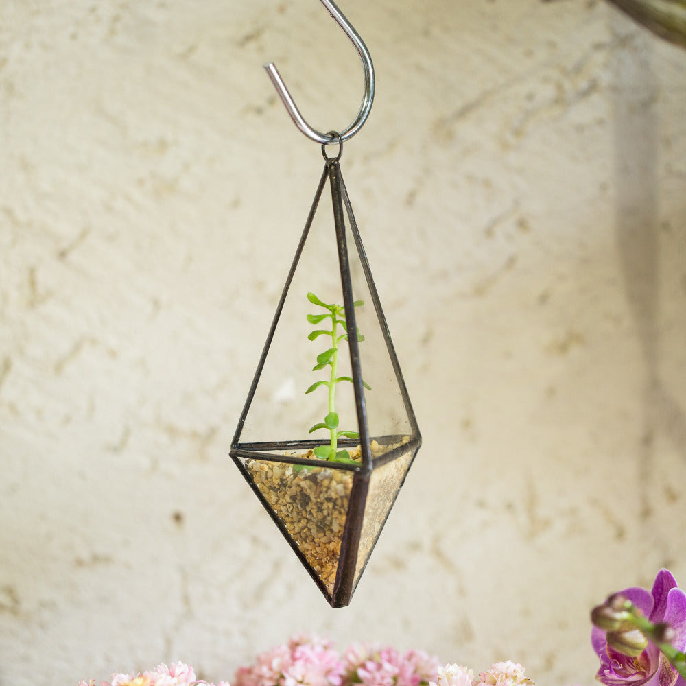 Handmade Hanging Mini Triangular Glass Geometric Terrarium for Fern Moss Succulent Airplants - NCYPgarden