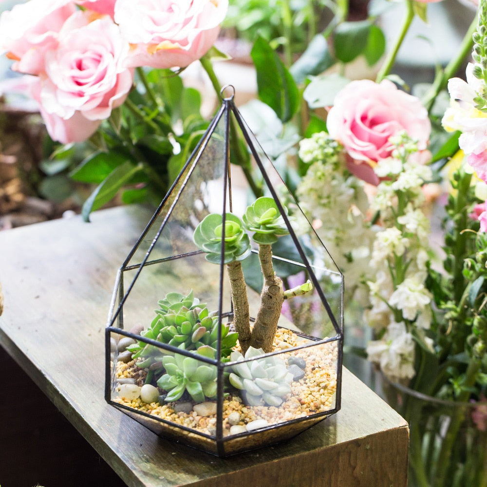 Handmade Hanging Six-surface Diamond Glass Geometric Terrarium with 3 Spaced Opening for Succulents - NCYPgarden