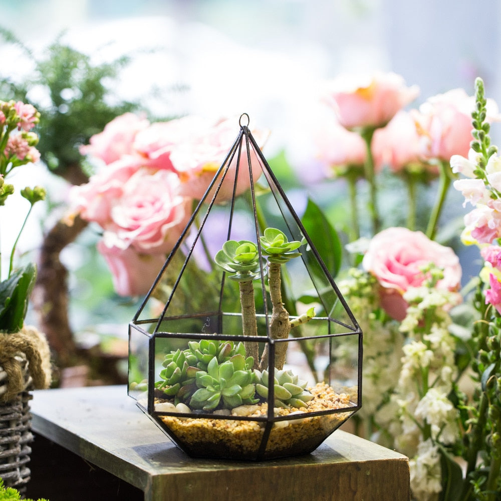 Handmade Hanging Six-surface Diamond Glass Geometric Terrarium with 3 Spaced Opening for Succulents - NCYPgarden