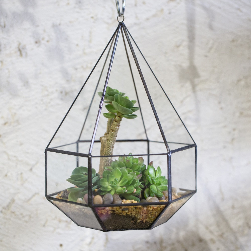 Handmade Hanging Six-surface Diamond Glass Geometric Terrarium with 3 Spaced Opening for Succulents - NCYPgarden