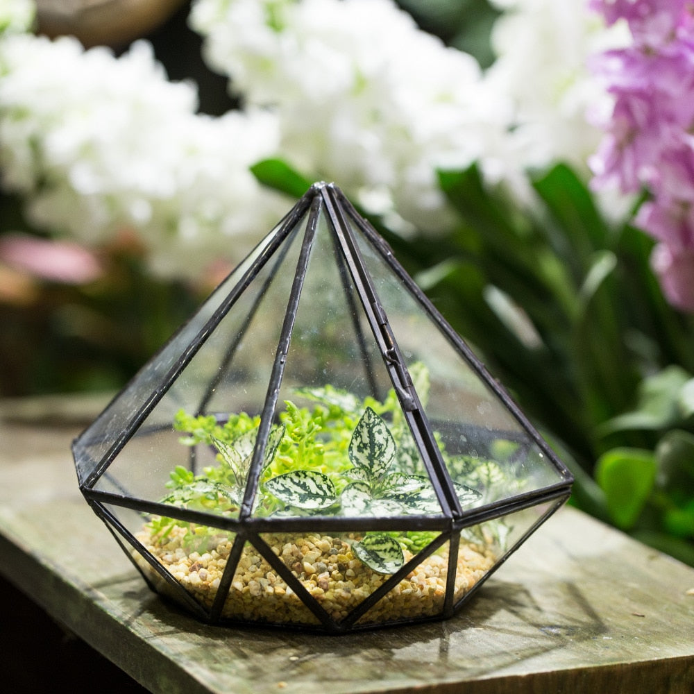 Handmade Diamond Black Glass Geometric Terrarium with Door for Succulents Moss Airplants - NCYPgarden
