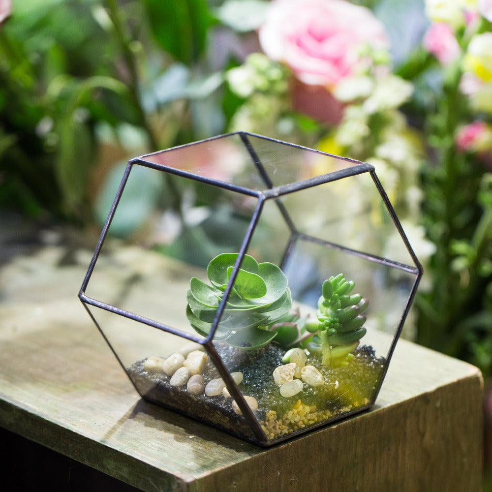 Handmade Wall Geometric Hexagon Glass Terrarium Box for Fern Moss Succulent Airplants Cacti - NCYPgarden