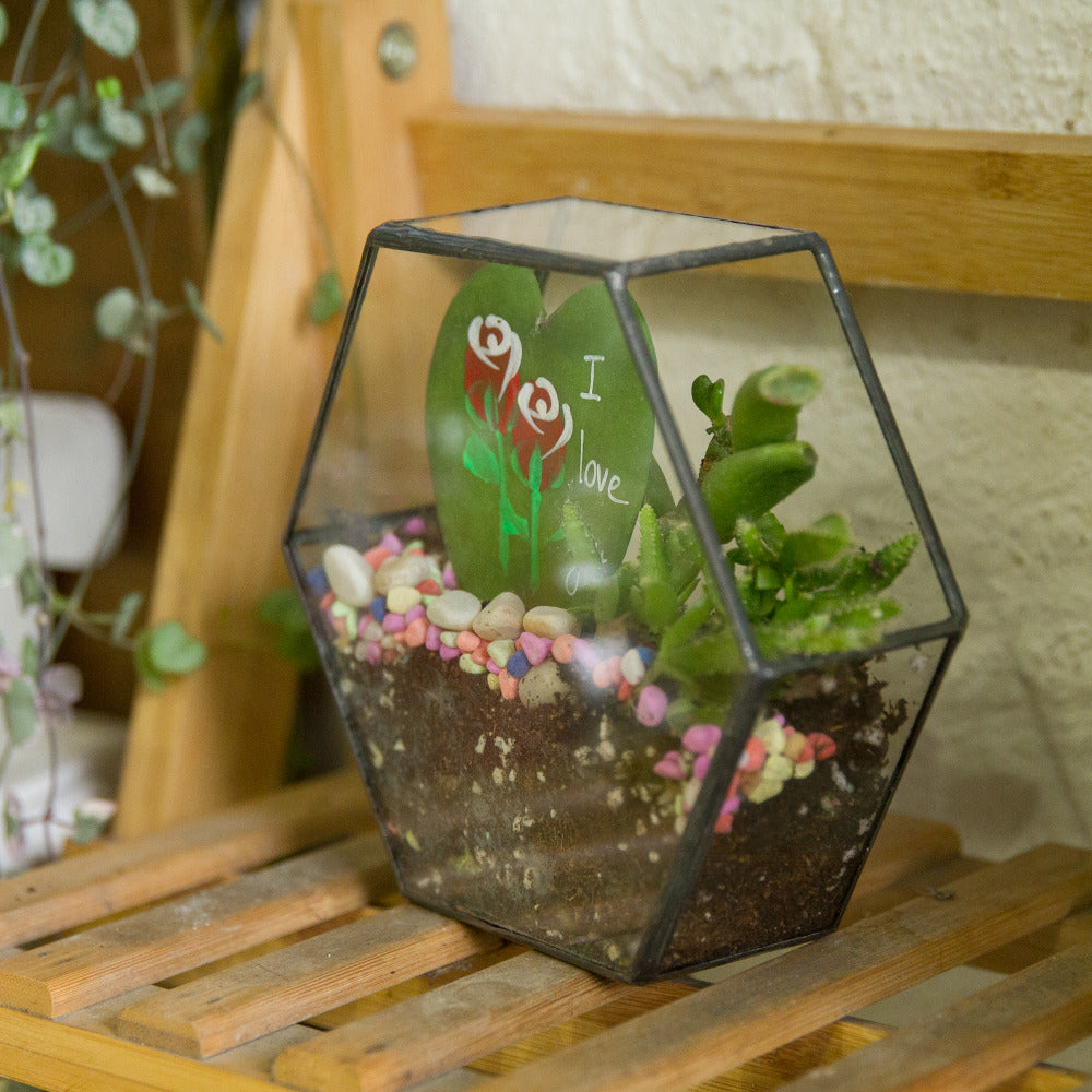 Handmade Wall Geometric Hexagon Glass Terrarium Box for Fern Moss Succulent Airplants Cacti - NCYPgarden