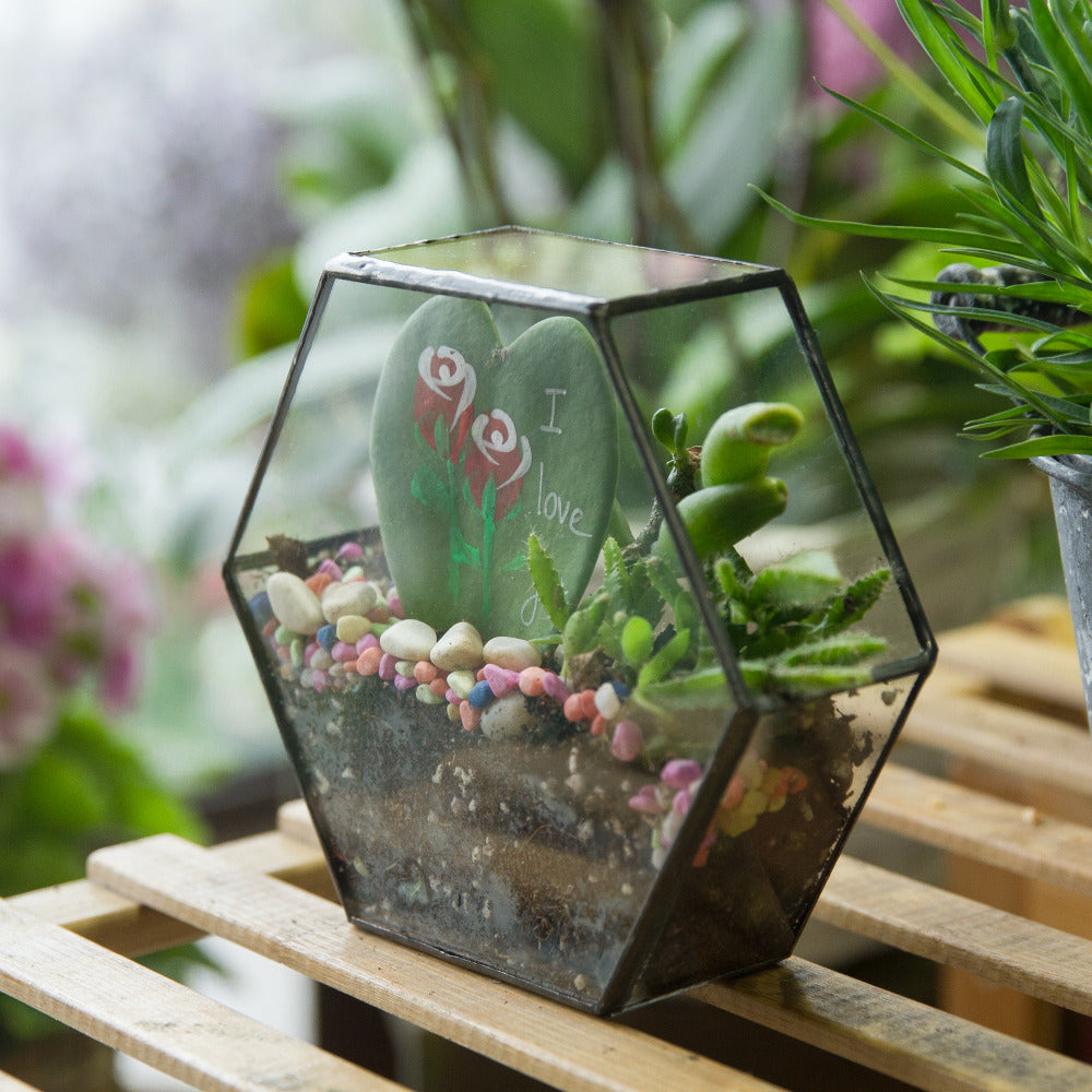 Handmade Wall Geometric Hexagon Glass Terrarium Box for Fern Moss Succulent Airplants Cacti - NCYPgarden