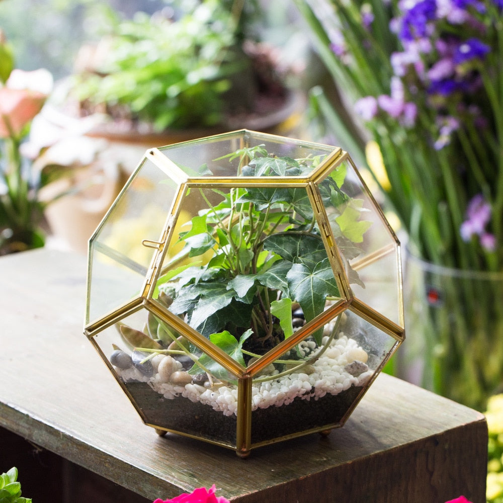 Handmade Copper Pentagon Glass Geometric Terrarium with Feet and Door for Succulent Moss Air Plant - NCYPgarden