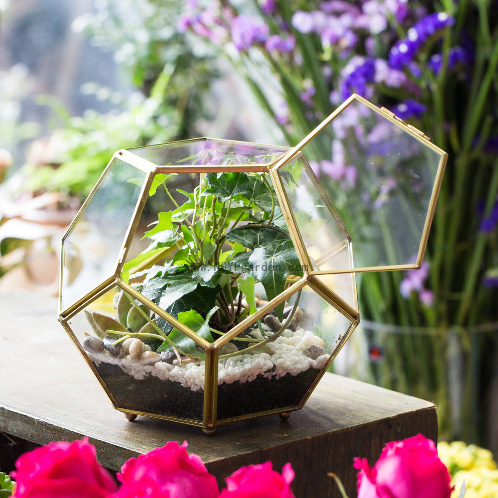 Handmade Copper Pentagon Glass Geometric Terrarium with Feet and Door for Succulent Moss Air Plant - NCYPgarden