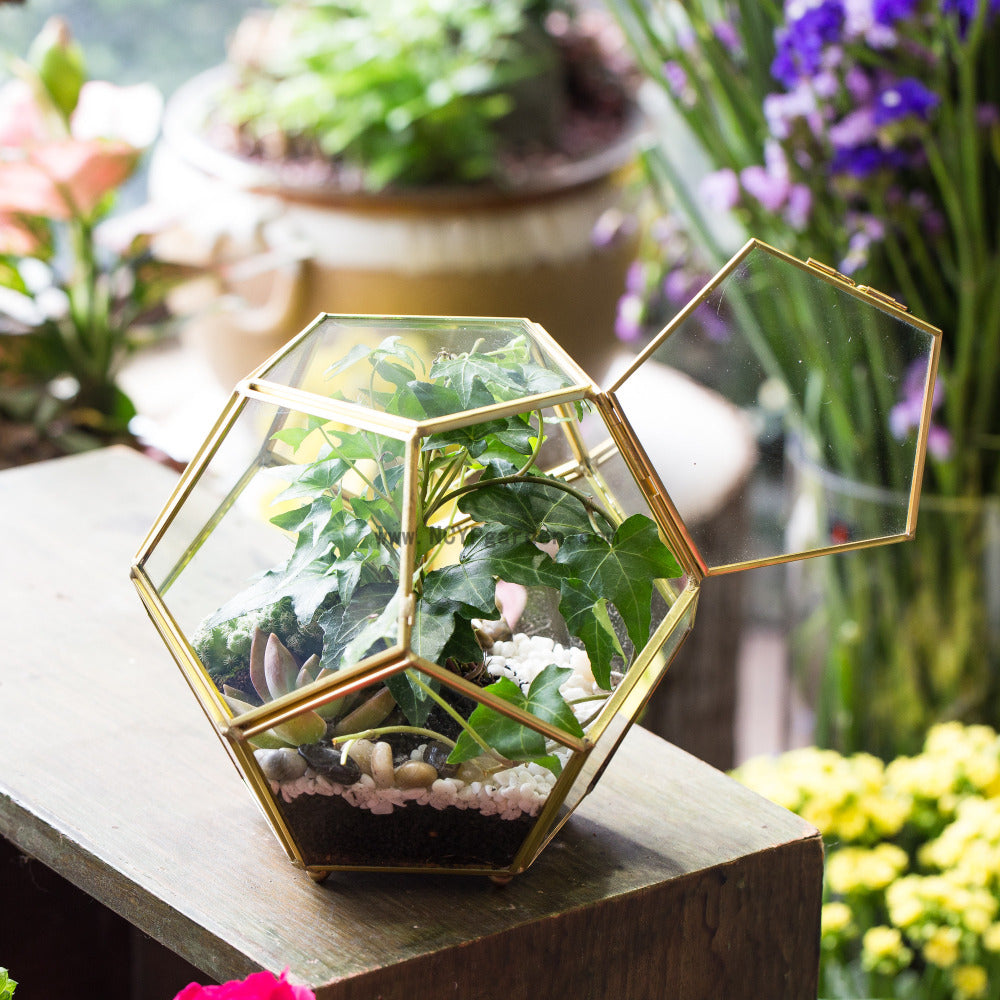 Handmade Copper Pentagon Glass Geometric Terrarium with Feet and Door for Succulent Moss Air Plant - NCYPgarden