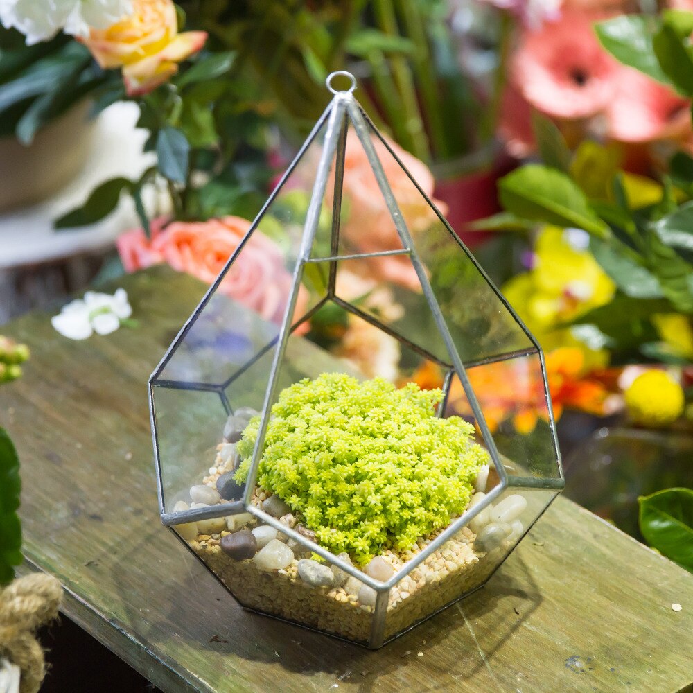 Handmade Silver Hanging Teardrop Shape Geometric Glass Terrarium for Succulent Moss Fern - NCYPgarden