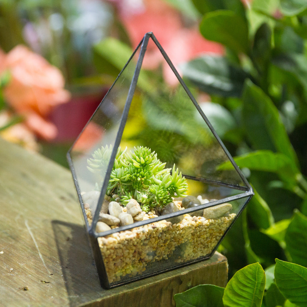 Handmade Geometric Flower Pot Small Glass Terrarium Pot for Container Balcony Garden Succulents - NCYPgarden