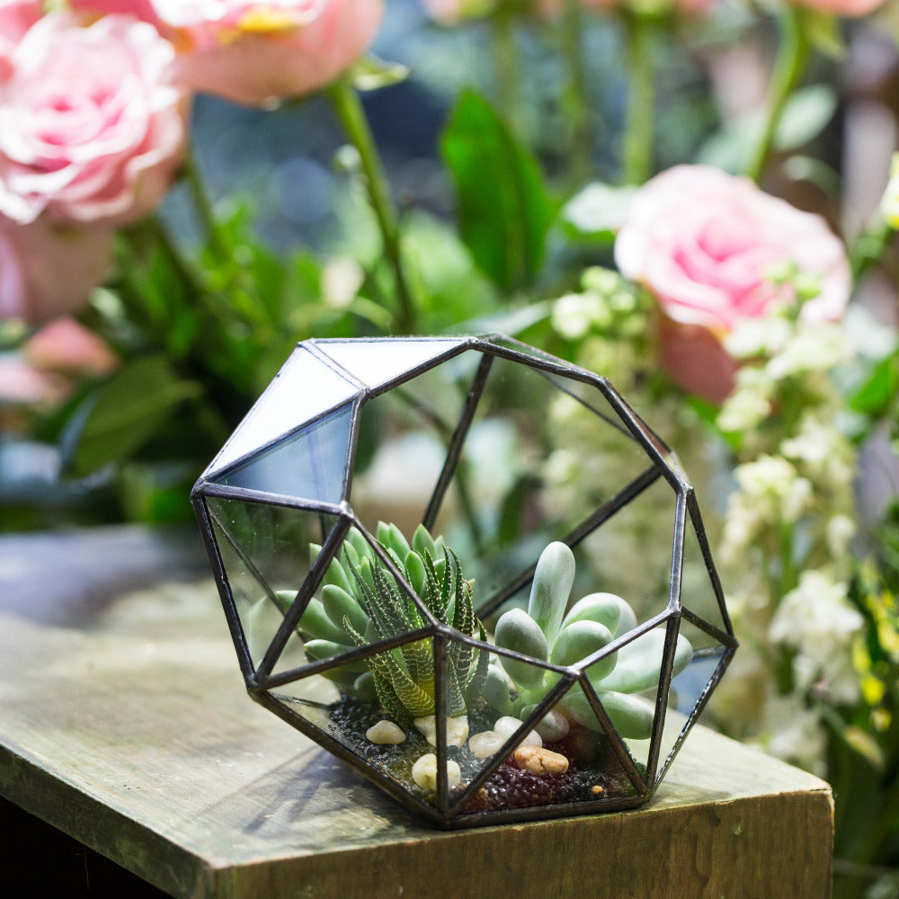 Handmade Diamond Open Glass Geometric Terrarium for Succulents Moss Fern Cacti - NCYPgarden