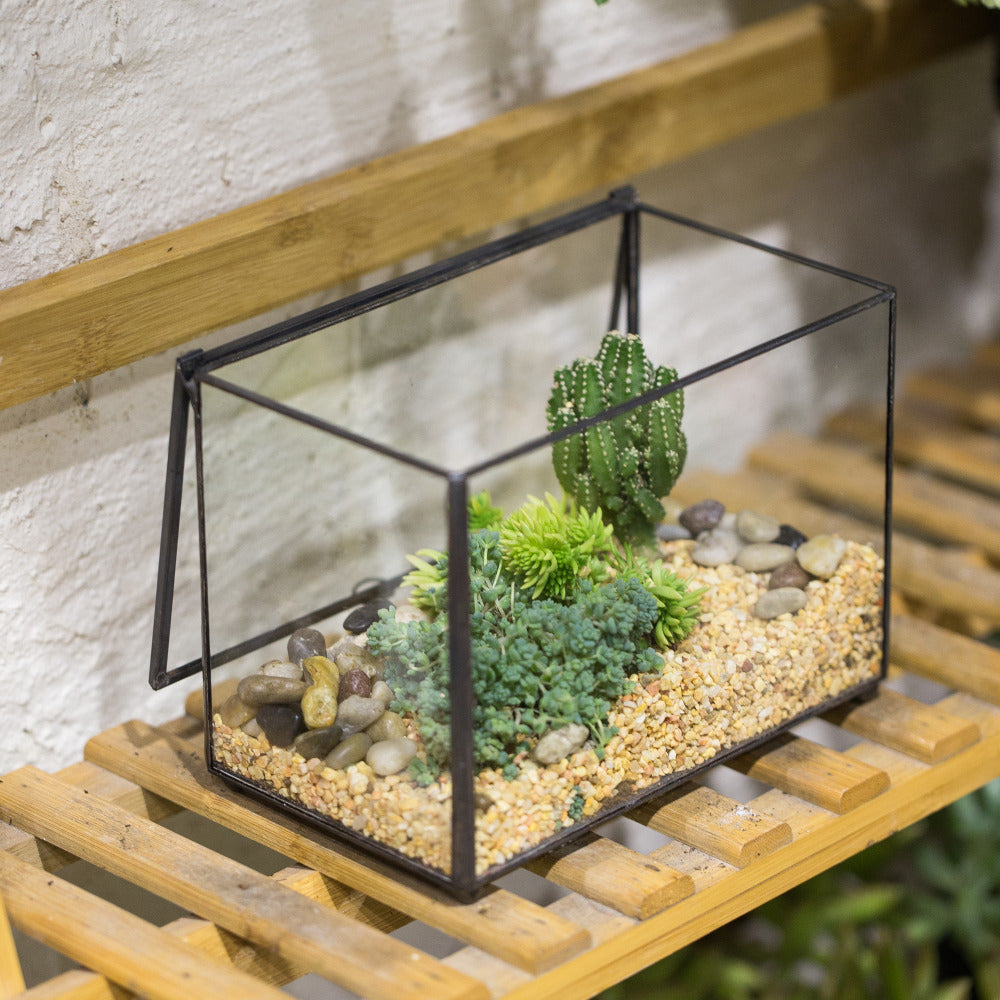 Handmade Rectangle Clear Glass Geometric Terrarium Box for Succulents Fern Moss Plant Flower - NCYPgarden