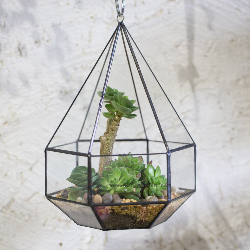 Handmade Hanging Six-surface Diamond Glass Geometric Terrarium with 3 Spaced Opening for Succulents - NCYPgarden