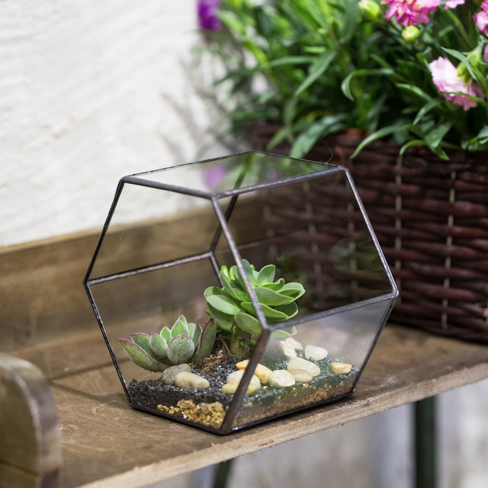 Handmade Thick Geometric Hexagon Glass Terrarium for Succulent Moss Airplants - NCYPgarden