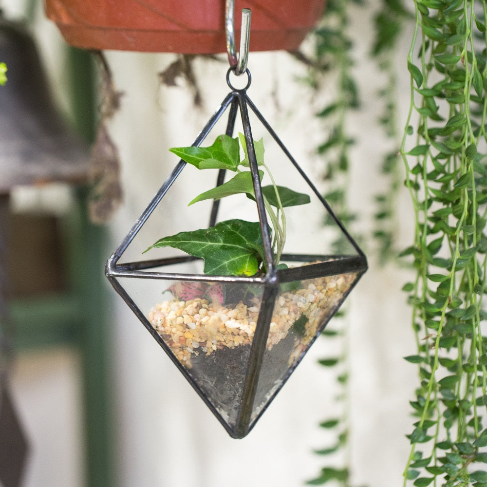 Handmade Small Black Hanging Class Geometric Glass Terrarium  for Air Plants Moss - NCYPgarden