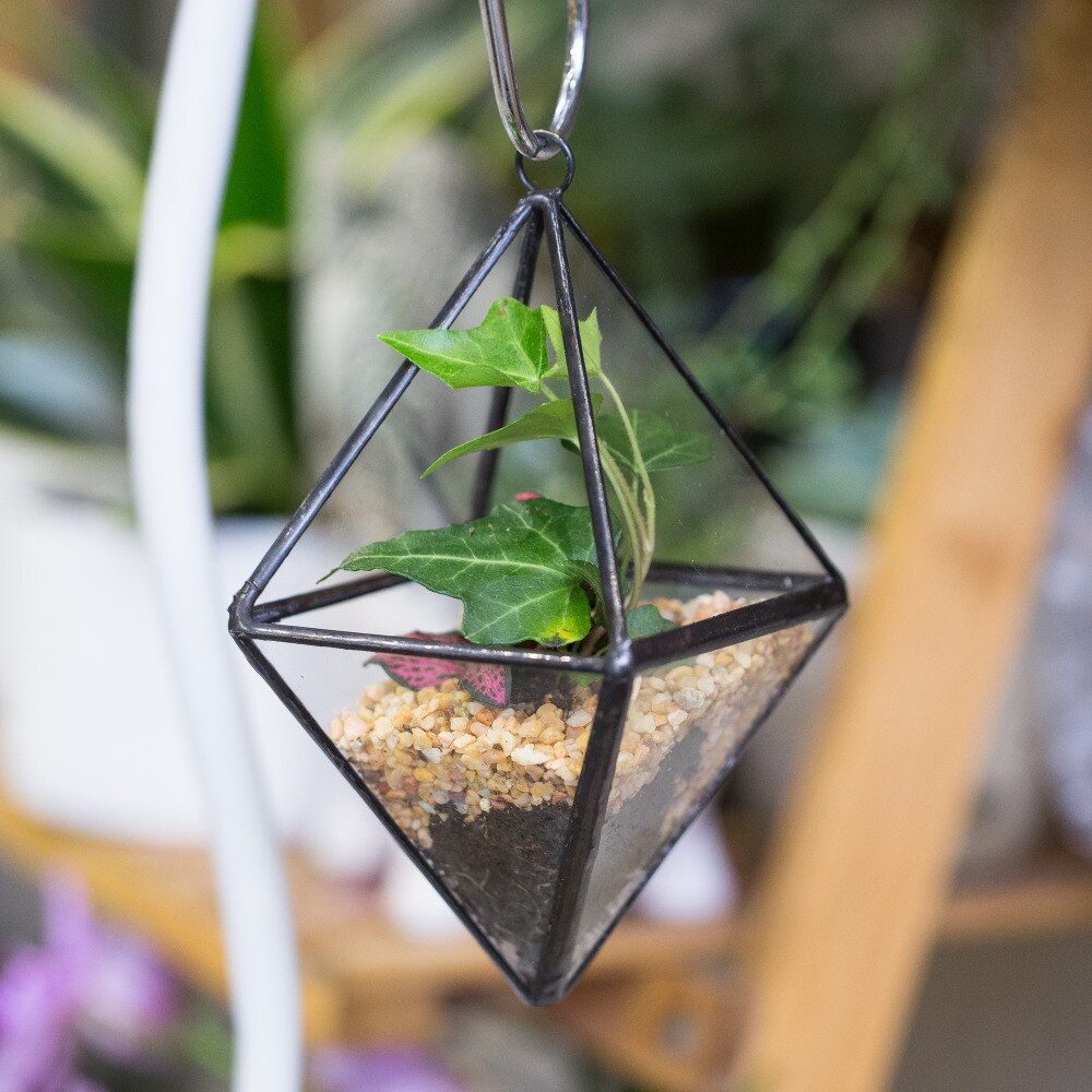 Handmade Small Black Hanging Class Geometric Glass Terrarium  for Air Plants Moss - NCYPgarden
