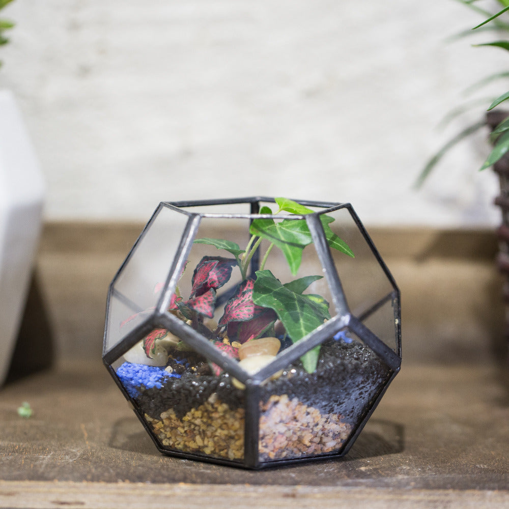 Handmade Mini Black Pentagon Glass Geometric Terrarium for Ring Box Moss - NCYPgarden