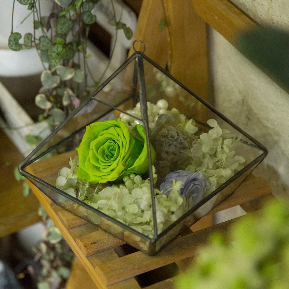 Handmade Hanging Glass Geometric Plant Container Terrariumfor Succulent Planter Fern Moss - NCYPgarden