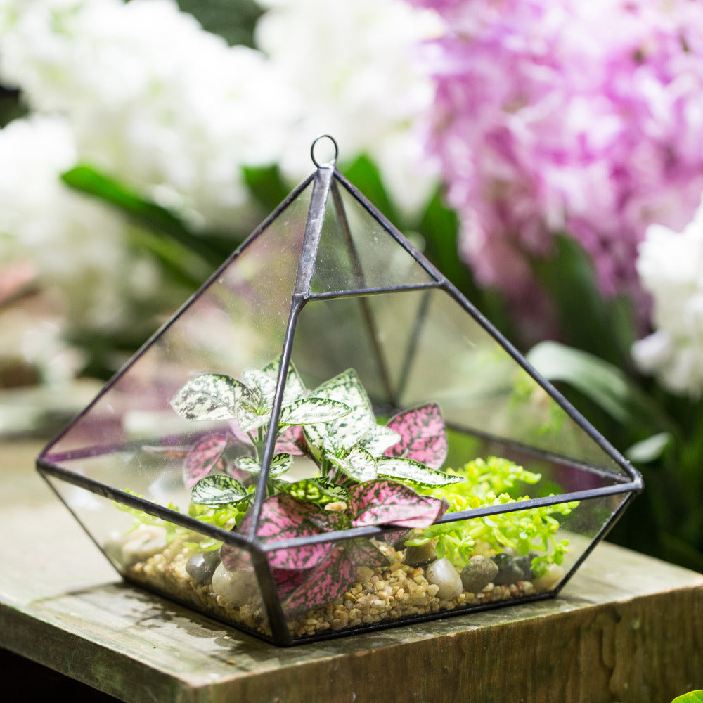 Handmade Hanging Glass Geometric Plant Container Terrariumfor Succulent Planter Fern Moss - NCYPgarden
