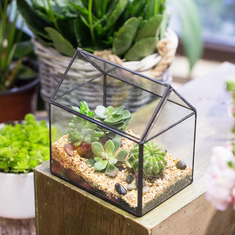 Handmade Black House Shape Glass Geometric Terrarium wth Lid for Succulent  Fern Moss Airplants - NCYPgarden