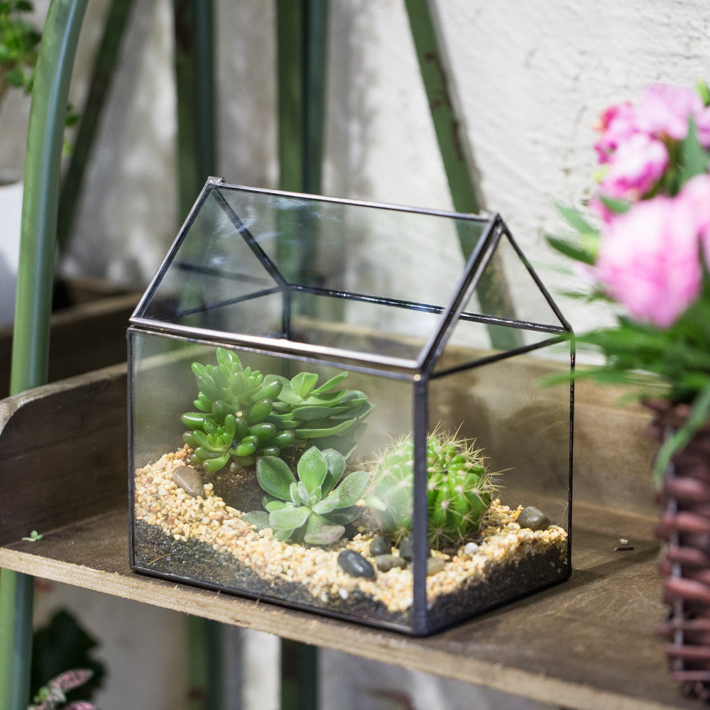 Handmade Black House Shape Glass Geometric Terrarium wth Lid for Succulent  Fern Moss Airplants - NCYPgarden