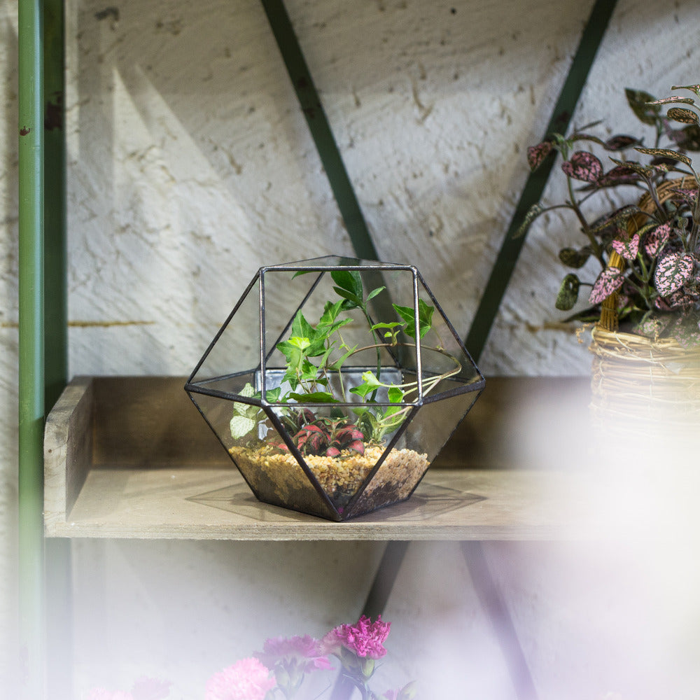Handmade Glass Geometric Flower Terrarium Pot for Succulents Moss Fern Micro Landscape - NCYPgarden