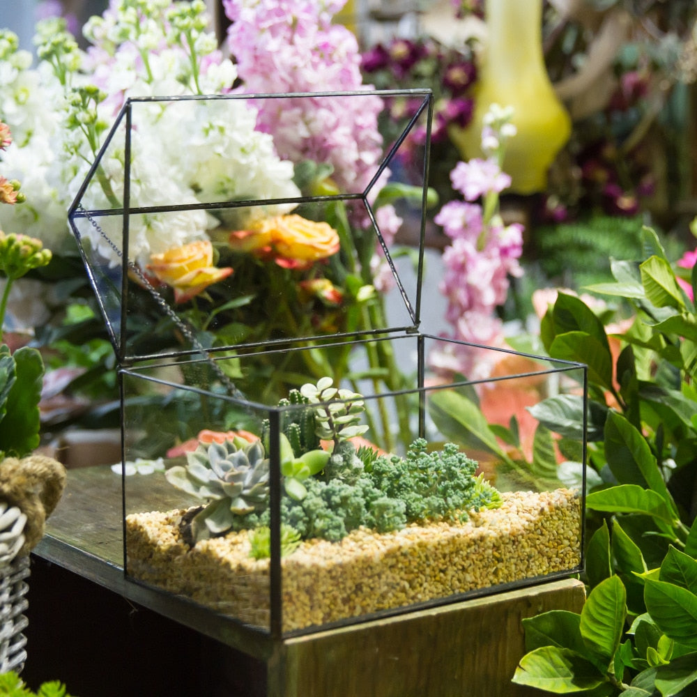 Handmade House Shape Glass Black Geometric Terrarium with Lid for Succulent Moss Airplants Cacti - NCYPgarden