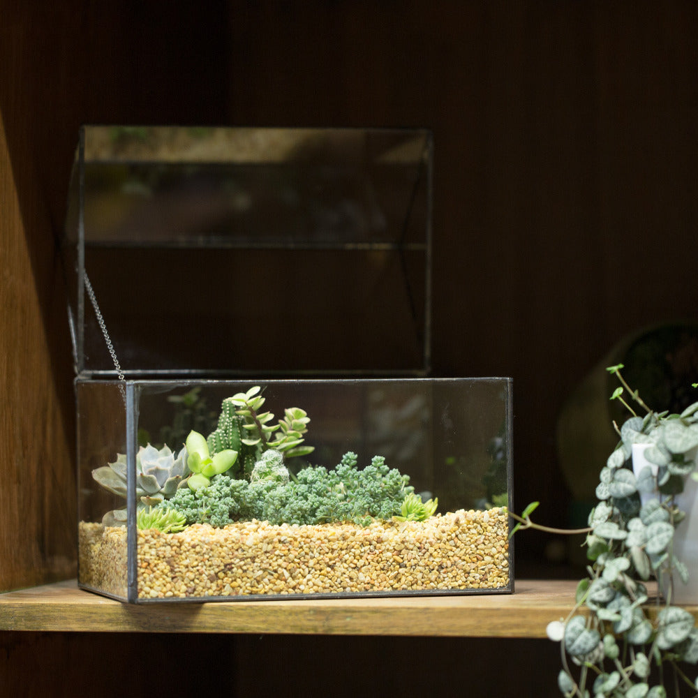 Handmade House Shape Glass Black Geometric Terrarium with Lid for Succulent Moss Airplants Cacti - NCYPgarden