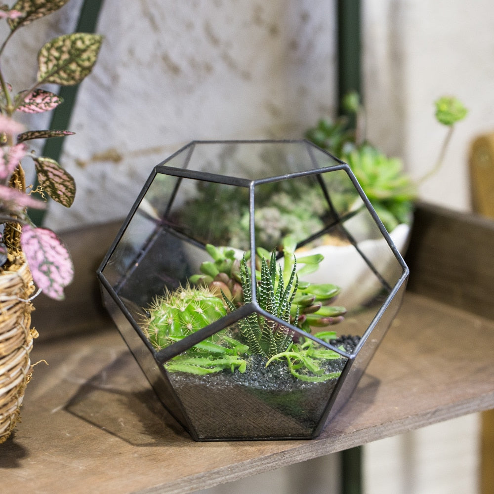 Handmade Silver Black Various Size Pentagon Glass Geometric Terrarium for Succulents Airplants Cacti - NCYPgarden