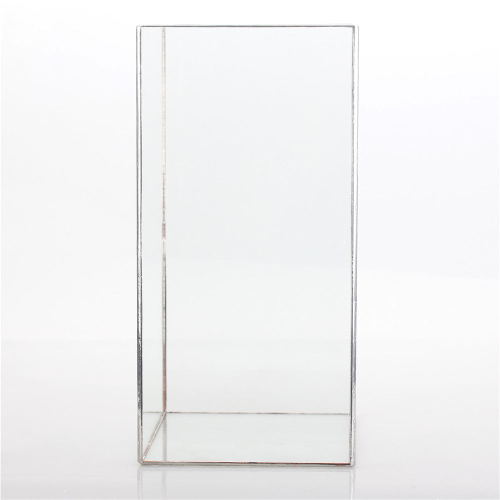 Handmade Silver Long Geometric Glass Terrarium for Succulents Moss Cacti Fern - NCYPgarden