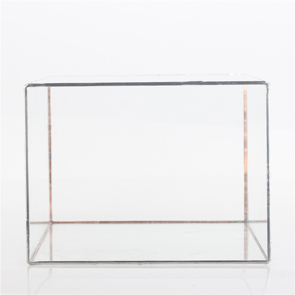 Handmade Silver Long Geometric Glass Terrarium for Succulents Moss Cacti Fern - NCYPgarden