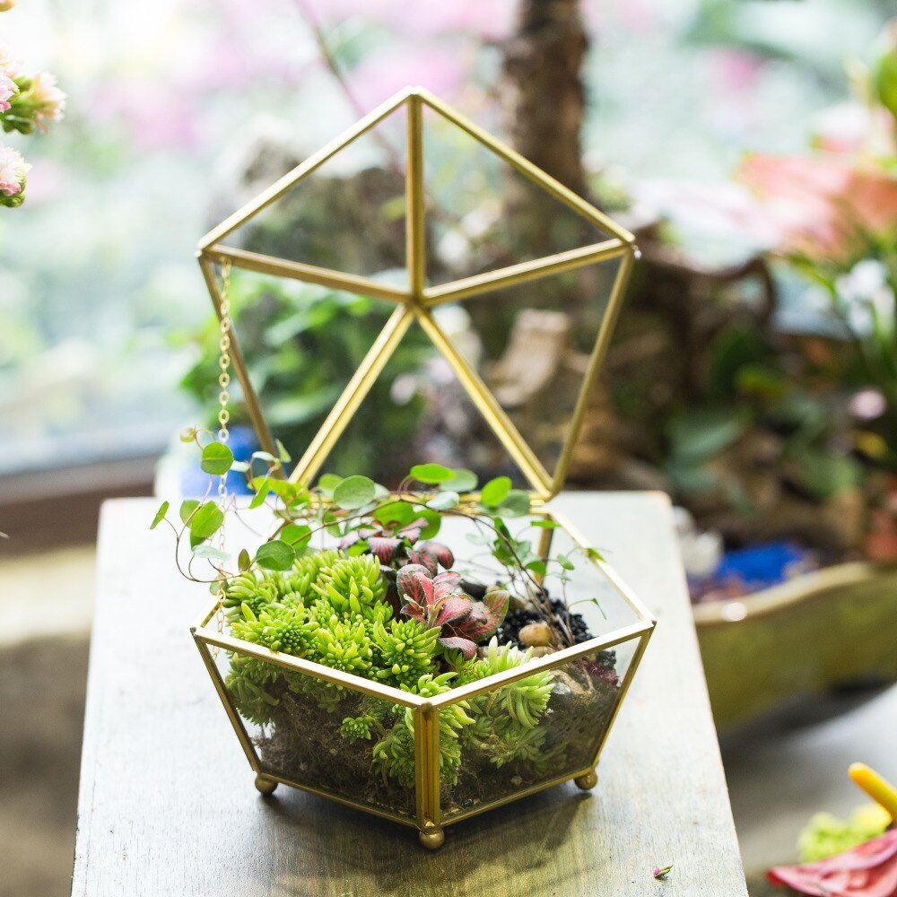 Handmade Vintage Gold Jewelry Box Design Terrarium Tabletop for Succulent Home Office Garden - NCYPgarden