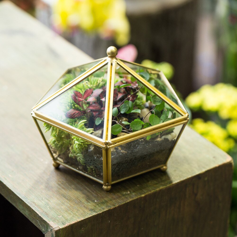 Handmade Vintage Gold Jewelry Box Design Terrarium Tabletop for Succulent Home Office Garden - NCYPgarden