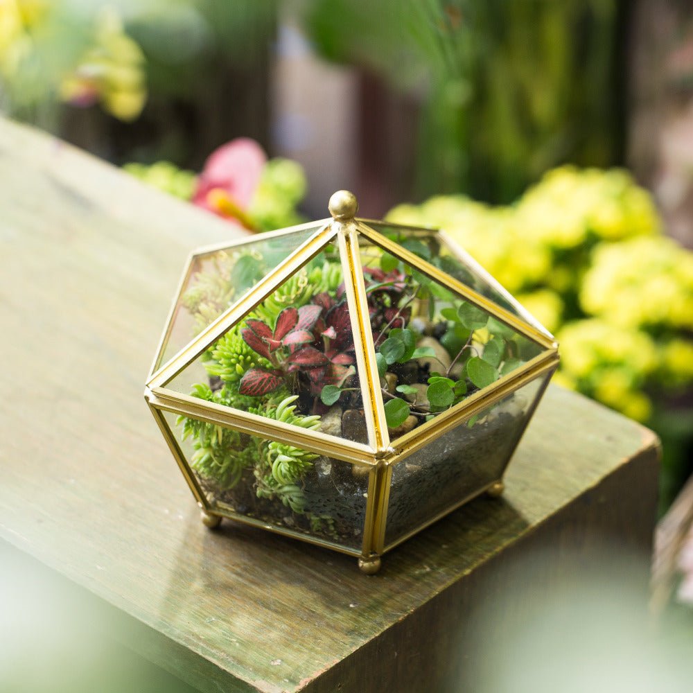 Handmade Vintage Gold Jewelry Box Design Terrarium Tabletop for Succulent Home Office Garden - NCYPgarden