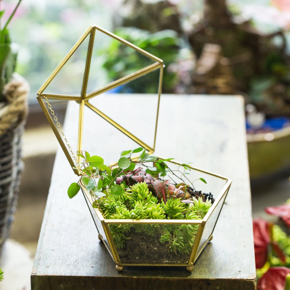 Handmade Vintage Gold Jewelry Box Design Terrarium Tabletop for Succulent Home Office Garden - NCYPgarden