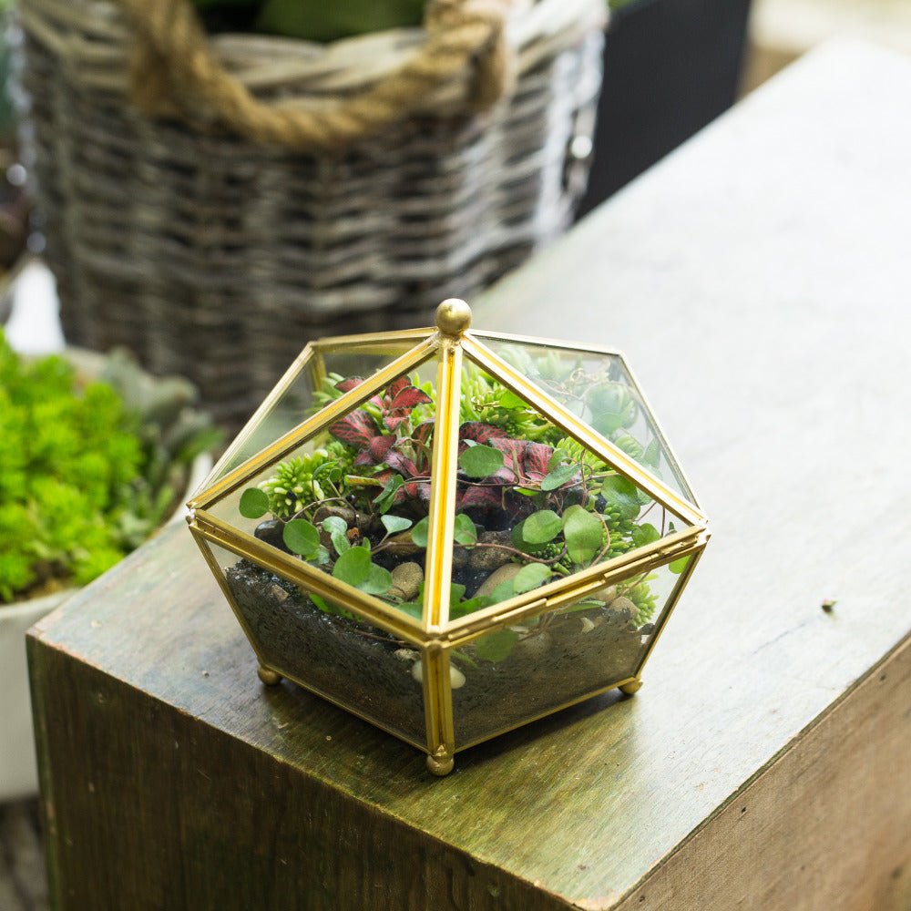 Handmade Vintage Gold Jewelry Box Design Terrarium Tabletop for Succulent Home Office Garden - NCYPgarden
