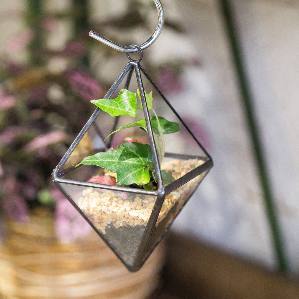 Handmade Small Hanging Hanging Geometric Glass Terrarium for Succulent Air Plant - NCYPgarden