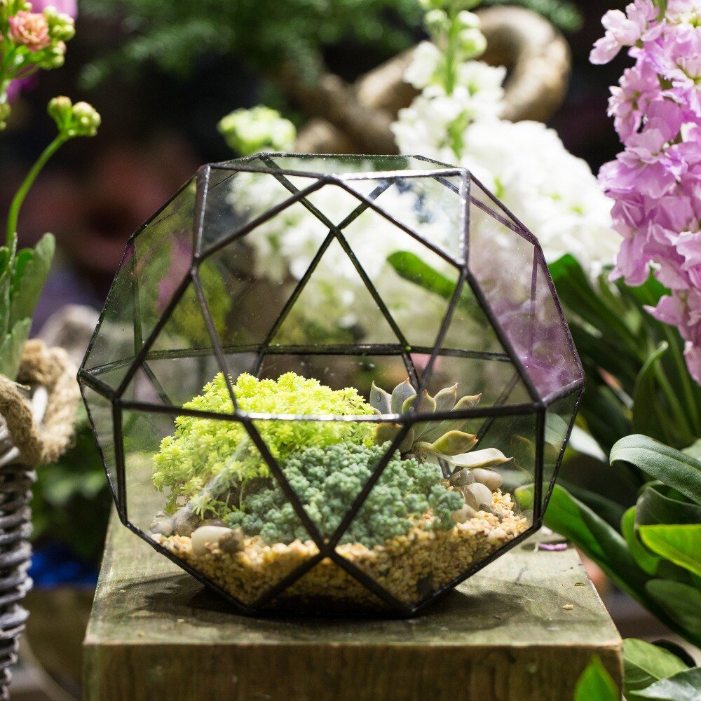 Handmade Triangular Pentagon Mix 32 - Sides Clear Glass Geometric Centerpiece Terrarium for Succulents - NCYPgarden