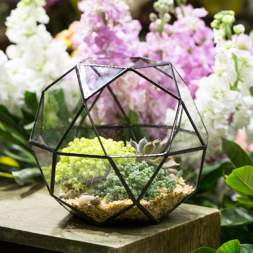 Handmade Triangular Pentagon Mix 32 - Sides Clear Glass Geometric Centerpiece Terrarium for Succulents - NCYPgarden