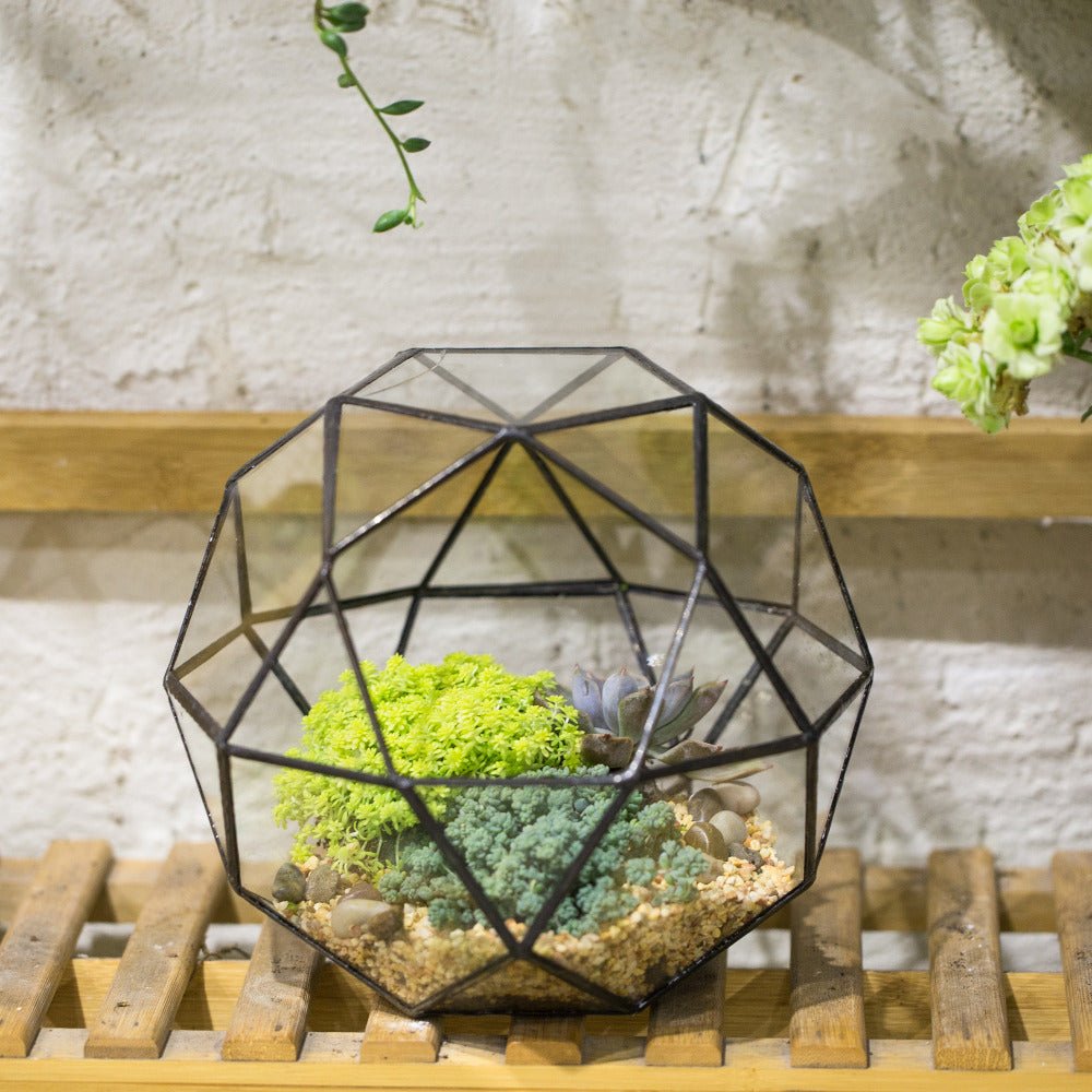 Handmade Triangular Pentagon Mix 32 - Sides Clear Glass Geometric Centerpiece Terrarium for Succulents - NCYPgarden